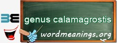 WordMeaning blackboard for genus calamagrostis
